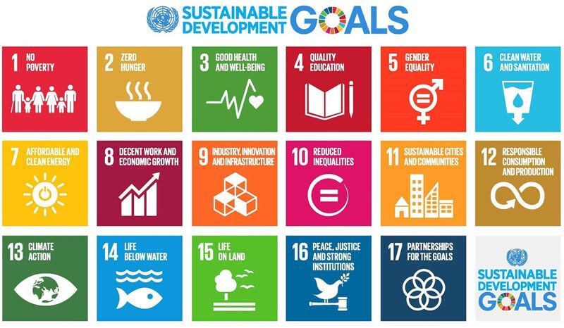 United Nations Sustainable Development Goals 2020