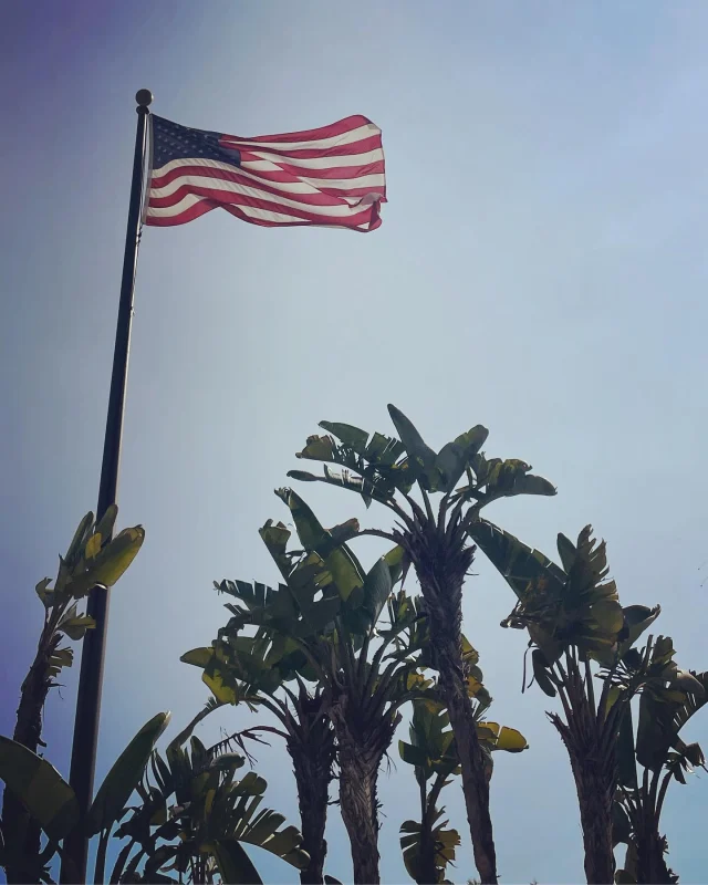3 weeks til #IFSA #APEX ! The John Horsfall team look forward to seeing you stateside. 🇺🇸 ✈️ ☀️